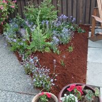 mulch9 after