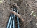 pipes under roots in trench