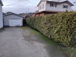 Crofton Hedge Job